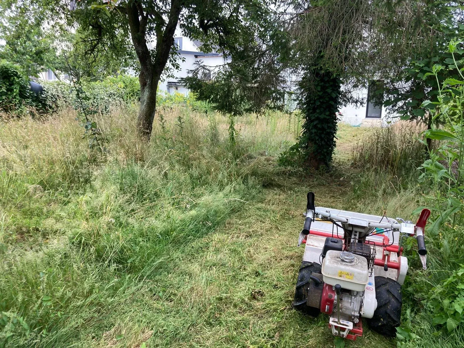 le-temps-dun-jardin-paysager-vannes-AVANT-1-1